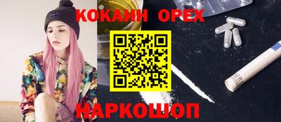 СК Донской