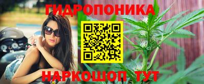 дживик Донецк