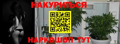 СК Донской