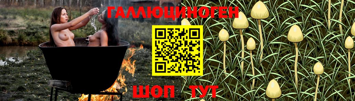 Миллерово  Псилоцибиновые грибы Magic Shrooms  Вход с VPN 
